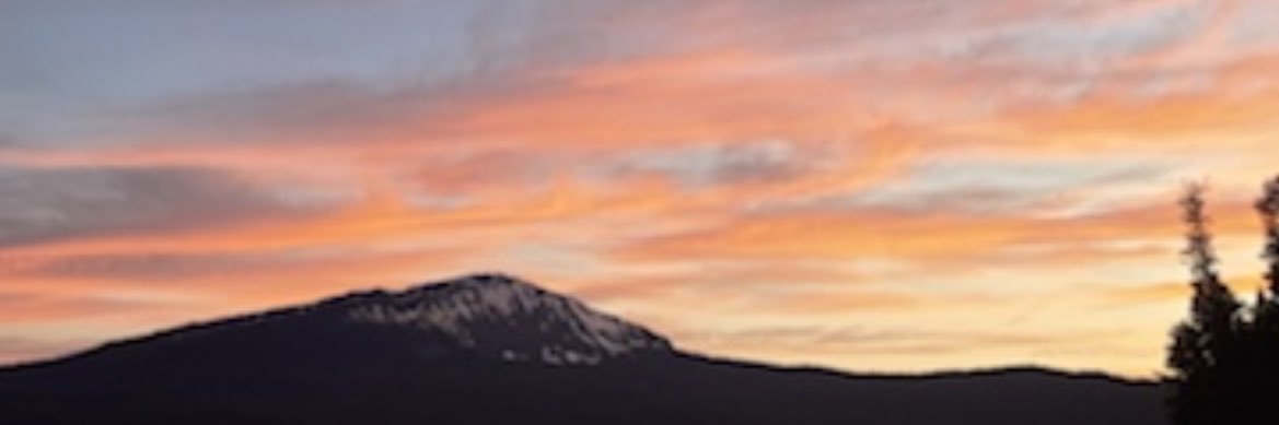 doirsmurphy's profile banner image