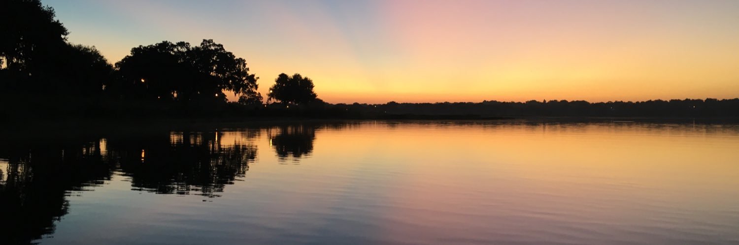 FlipSCBlue's profile banner image