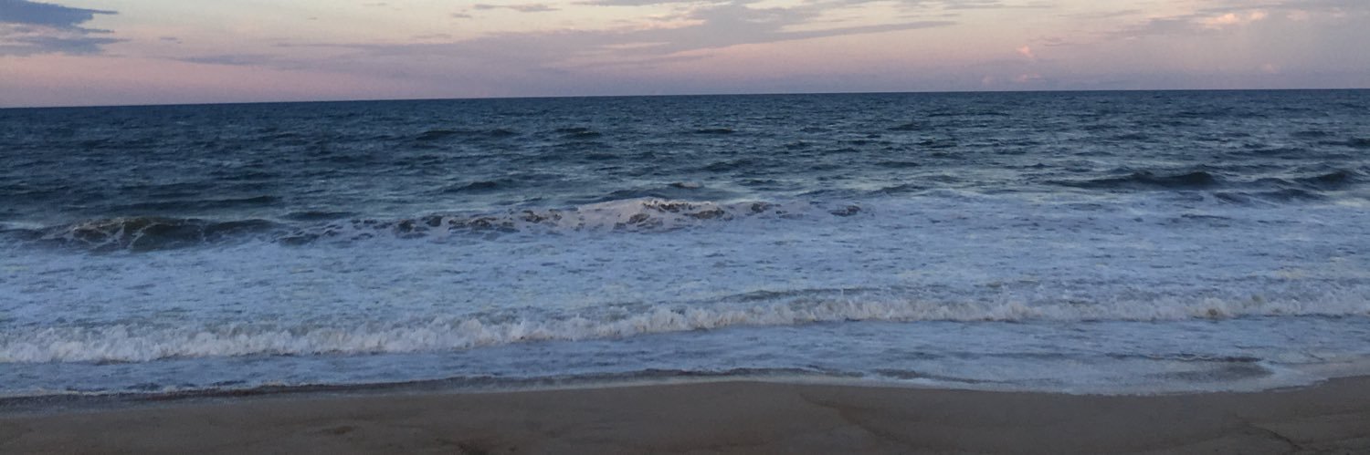 dougbushee's profile banner image