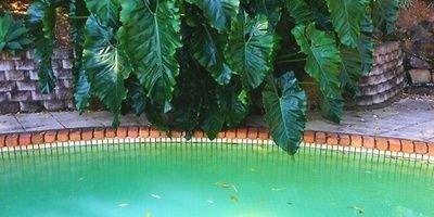 9488Besh's profile banner image