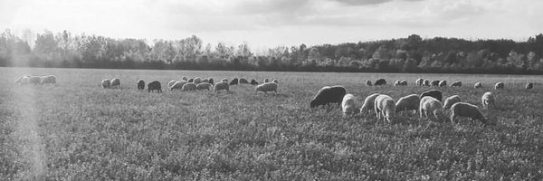 theLincFarm Profile Banner