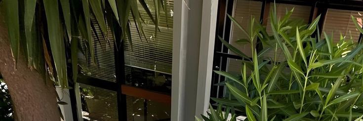 Rometny's profile banner image