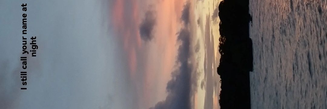 AnKarMay's profile banner image