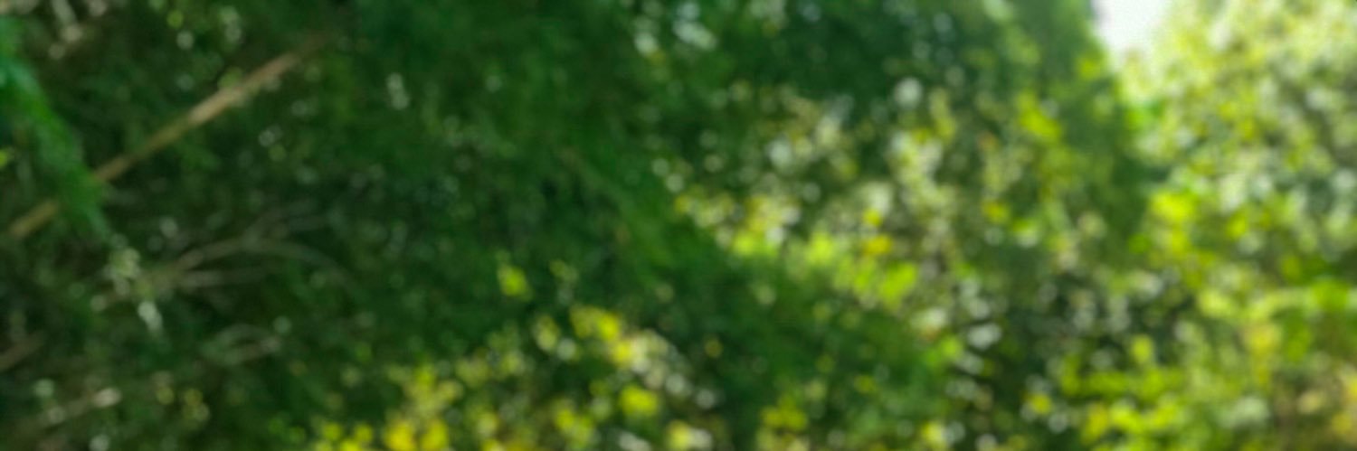 dudavaaz's profile banner image