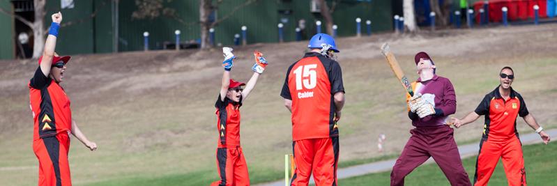blindcricket's profile banner image