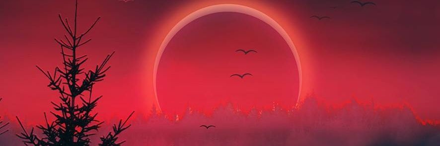 martin banner