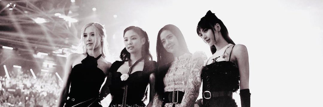 แม่ของแมว 5 ตัว 🐈 banner