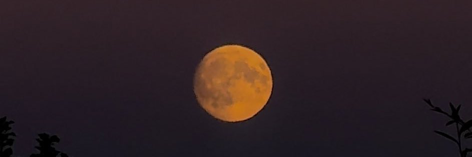 نايف | NaiF banner