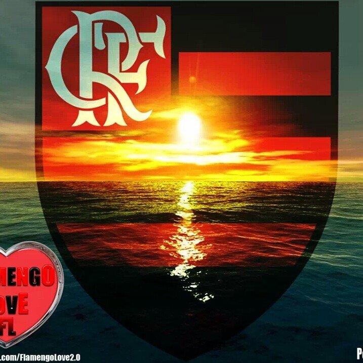 RioFlaOcta 🏆 banner