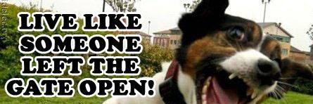 Marie 🐭 banner