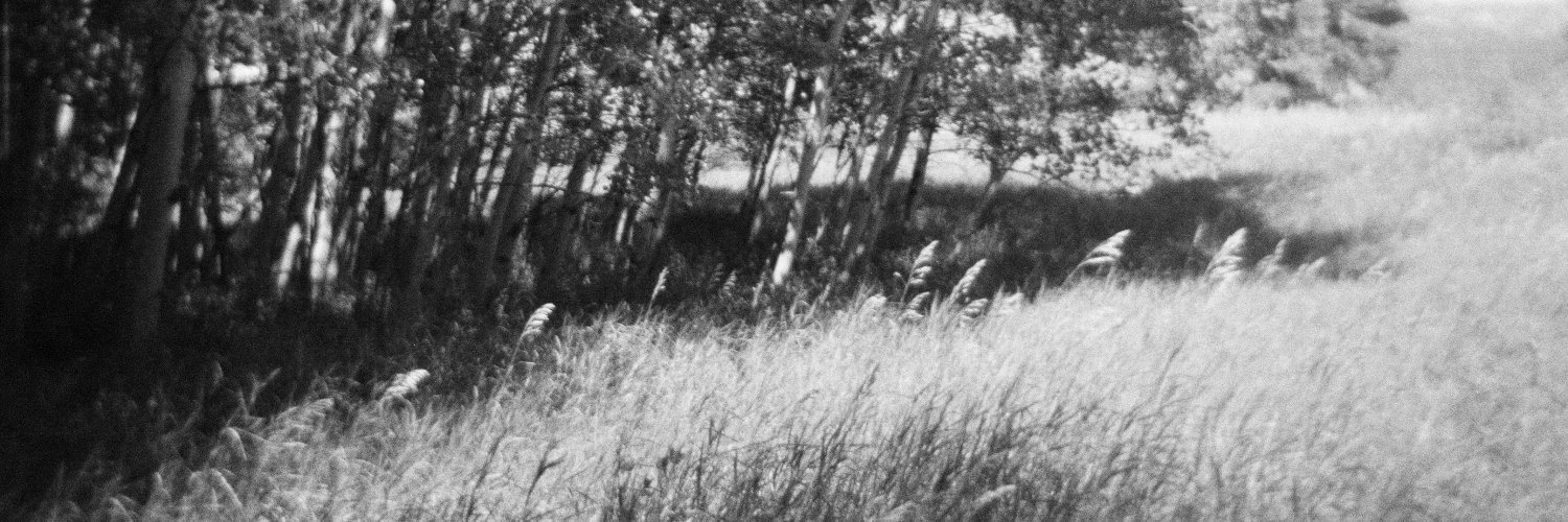 _hex_libris_'s profile banner image