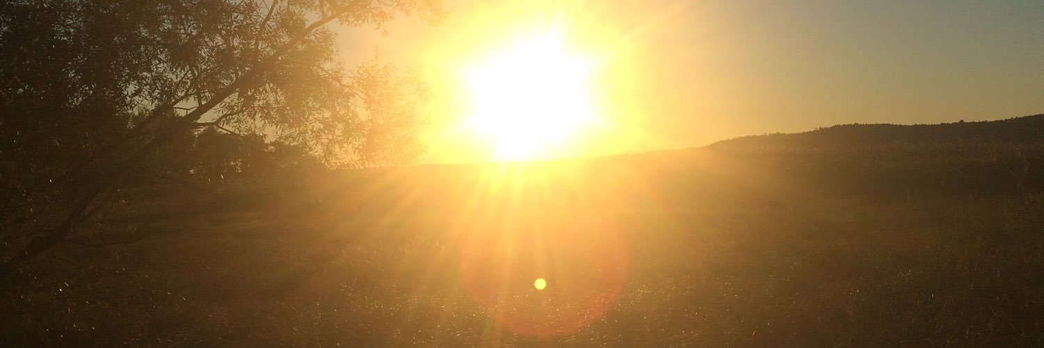 sleeplessvic's profile banner image