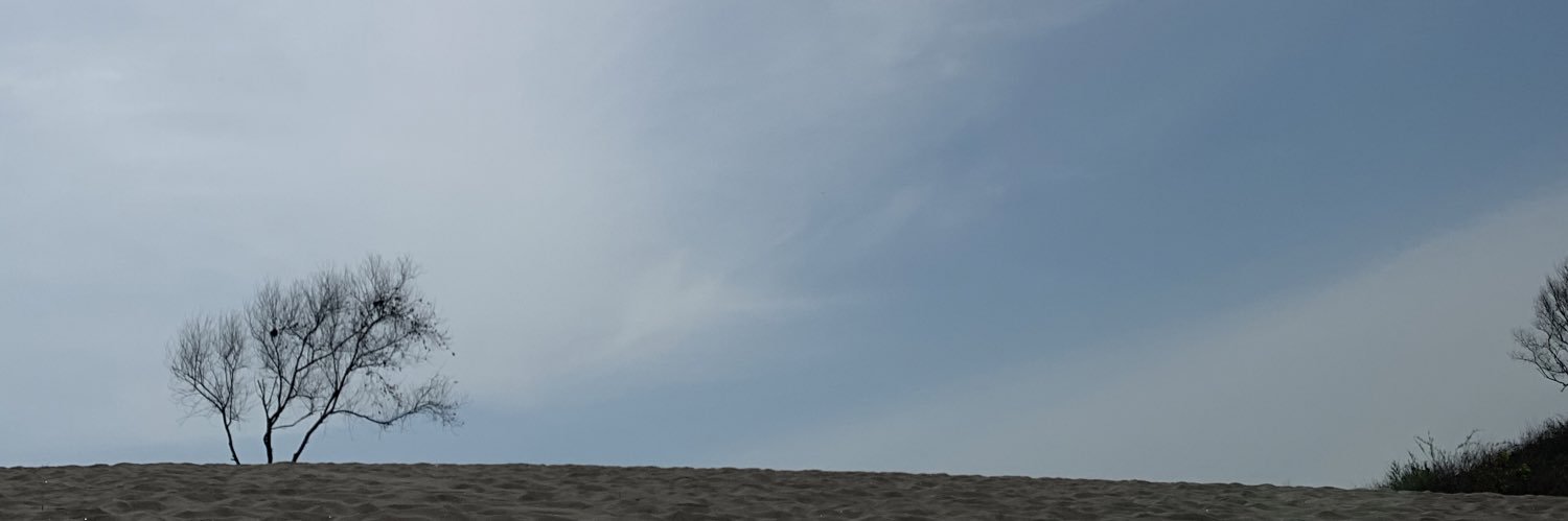 liviadeay's profile banner image