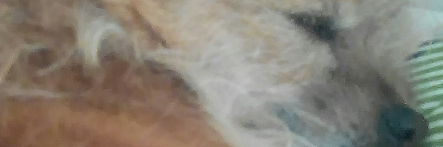 sergiox138's profile banner image