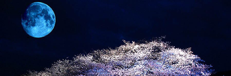 TE_Ryuu's profile banner image
