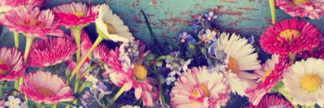 StefyPeraza's profile banner image