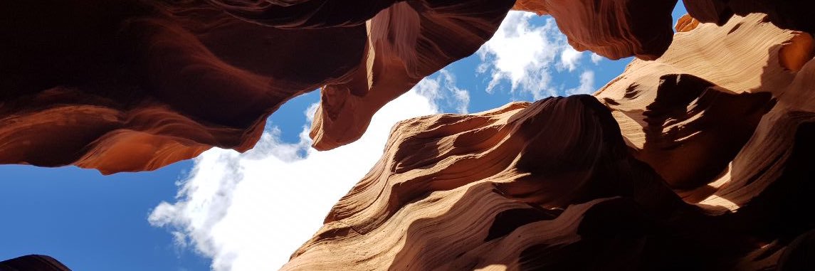 synthetic5_HT's profile banner image