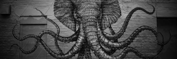 _CHlCO Profile Banner