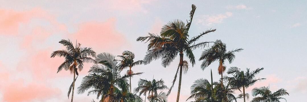 Marinevde's profile banner image