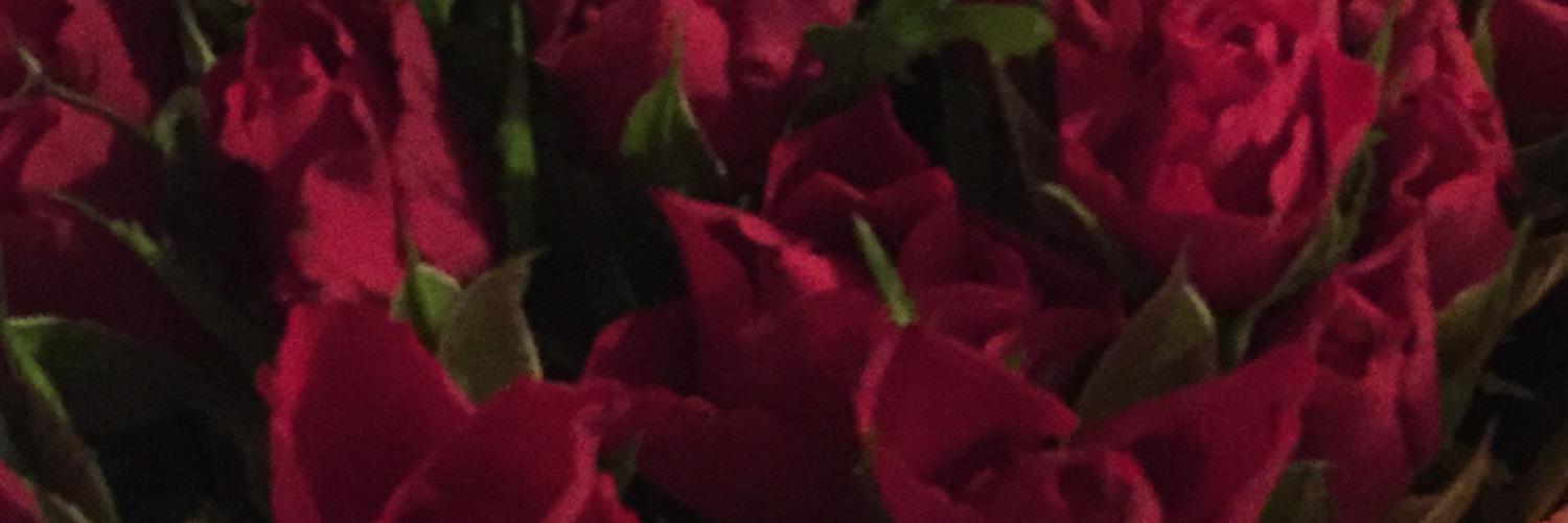 JackoEmily's profile banner image