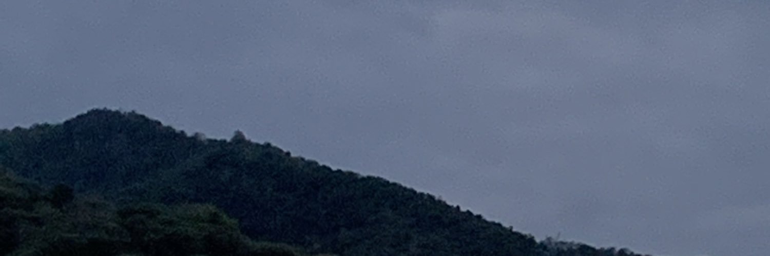 tayusahh's profile banner image