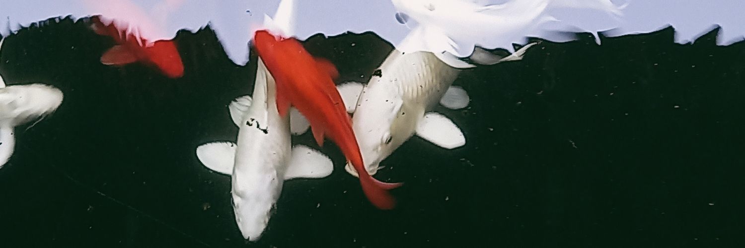 callmeizza_'s profile banner image