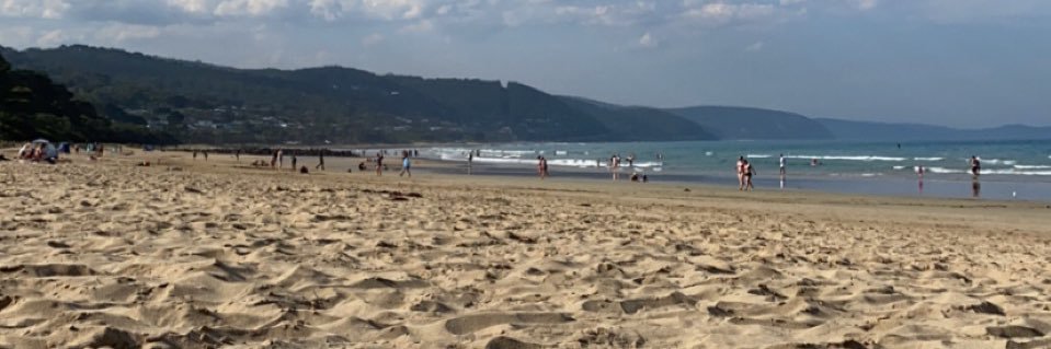 Alessio Paoli banner