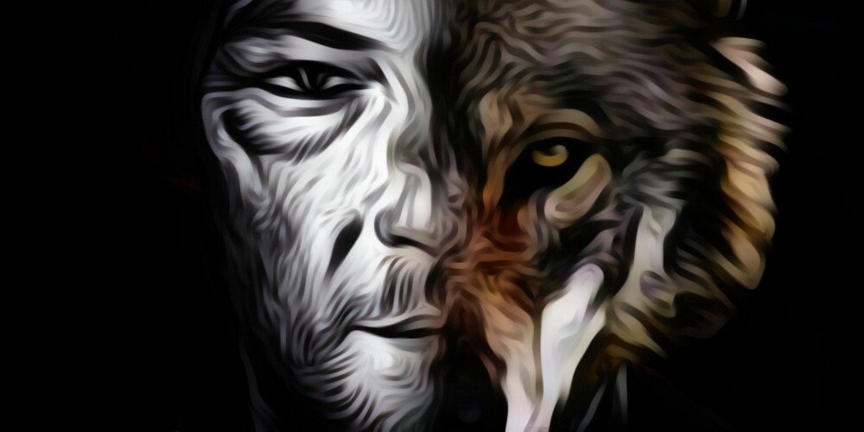 LFornof's profile banner image