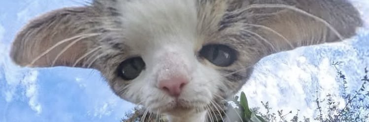 virmostge's profile banner image