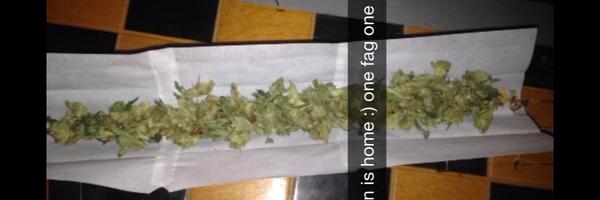 Spudius Profile Banner