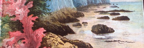 ScentedForager Profile Banner