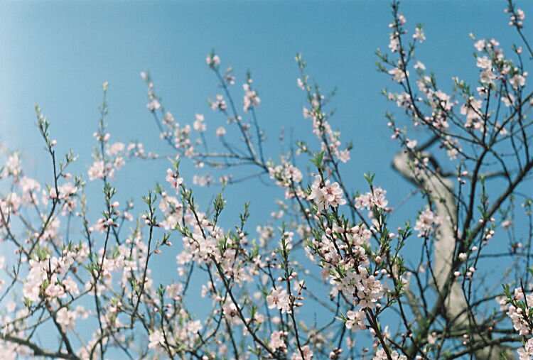 chacha0726's profile banner image