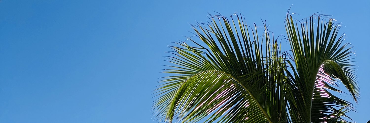 Paul Craig banner