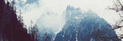 __CullenAlice__'s profile banner image
