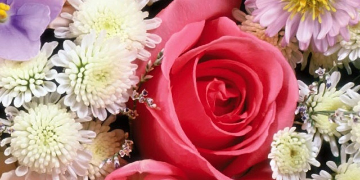 MichelleRosa01's profile banner image