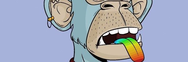 elpakco's profile banner image