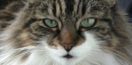 jane_jmt's profile banner image