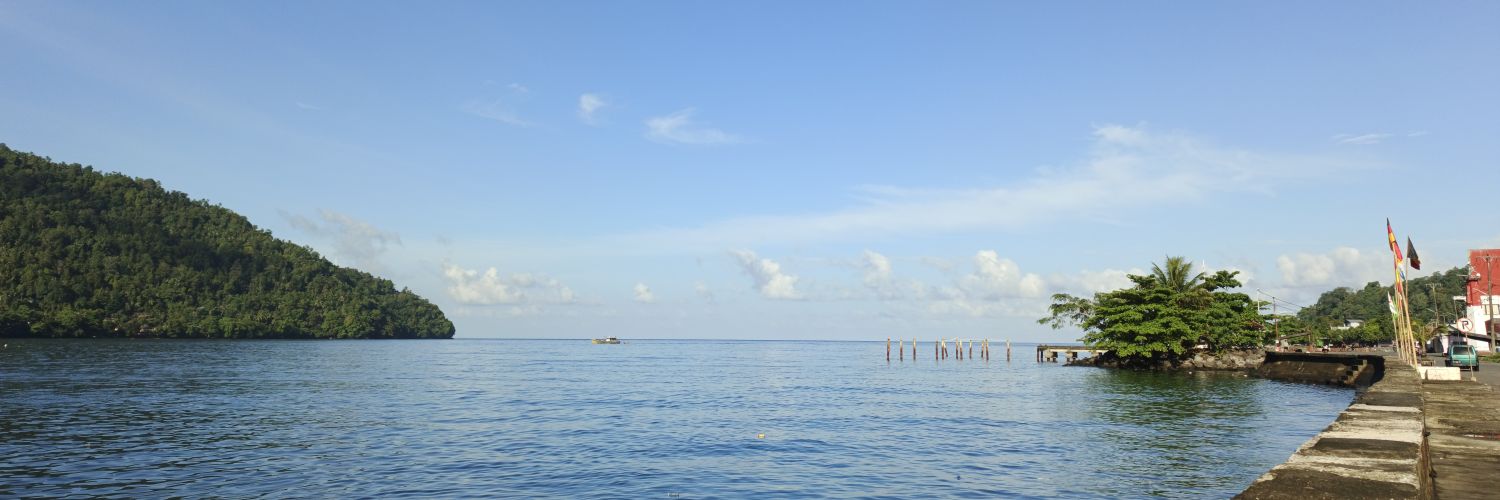 ranufatah's profile banner image