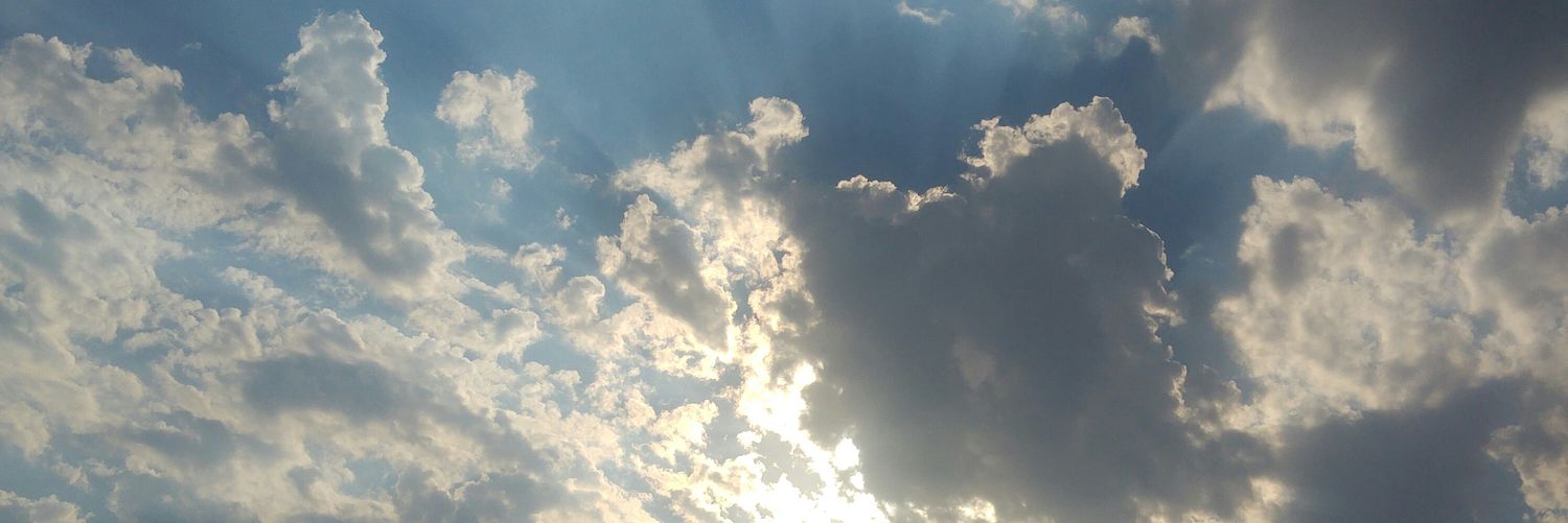 burcin3549's profile banner image