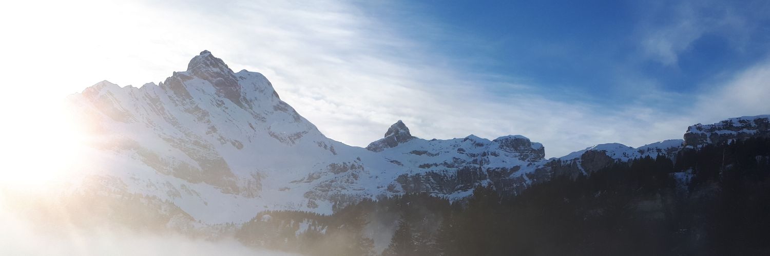 ClaudiaDanzer's profile banner image
