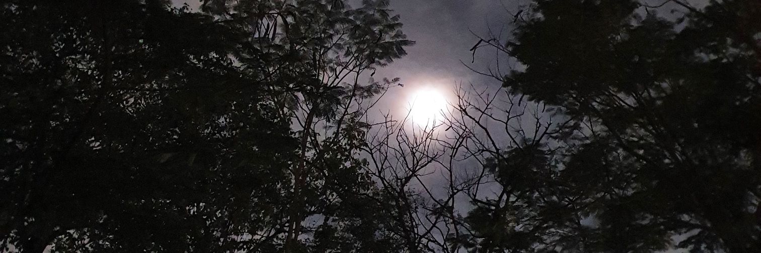 mntrlu's profile banner image