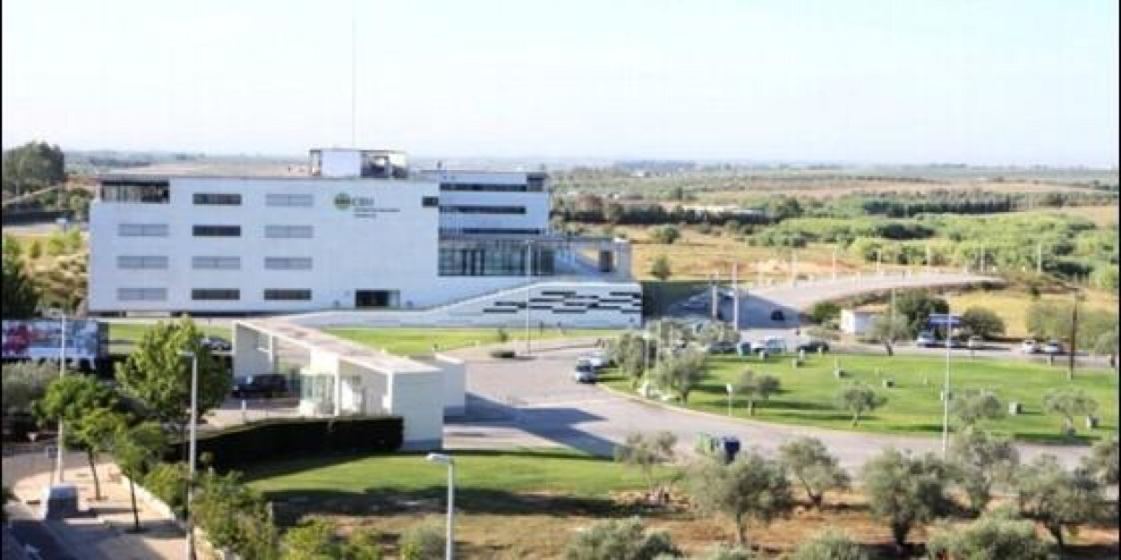 CEU_ENFURECIDO's profile banner image