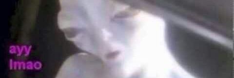 gilgifax's profile banner image