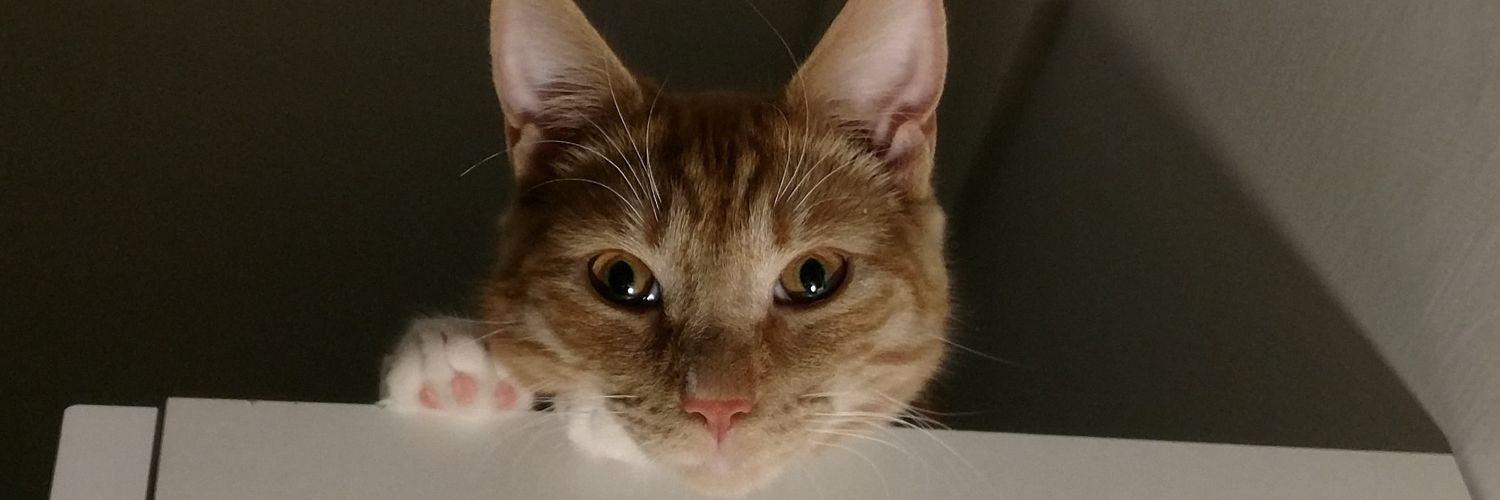 Ben__Robinson's profile banner image