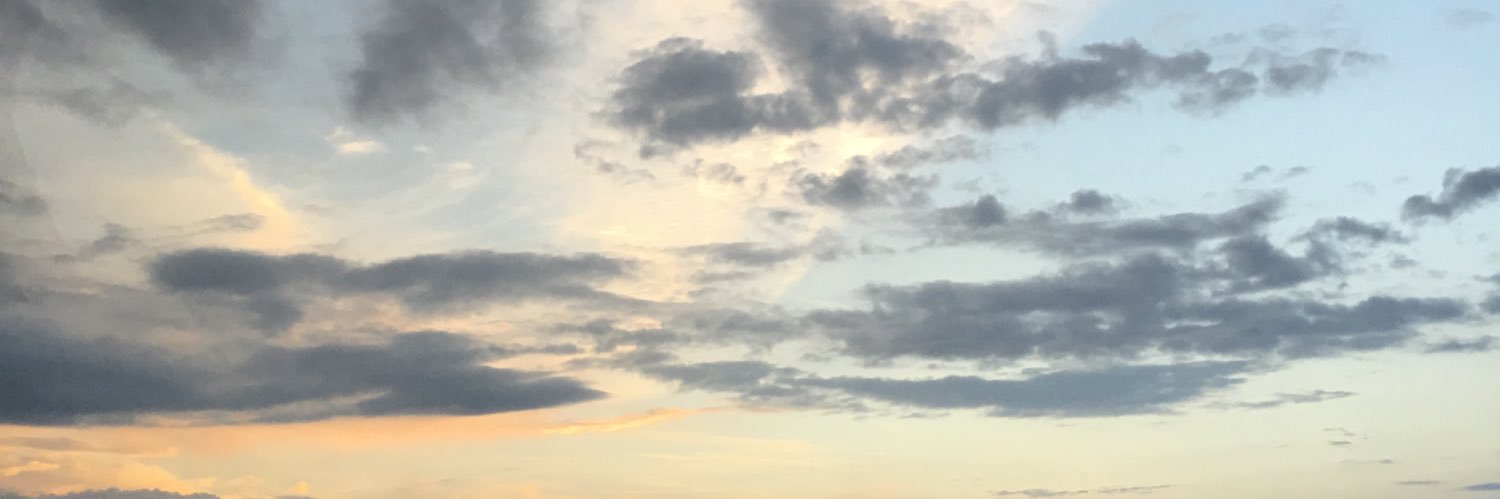 Samuel65446283's profile banner image