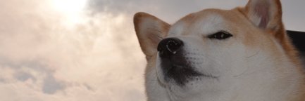 lexhadaname's profile banner image