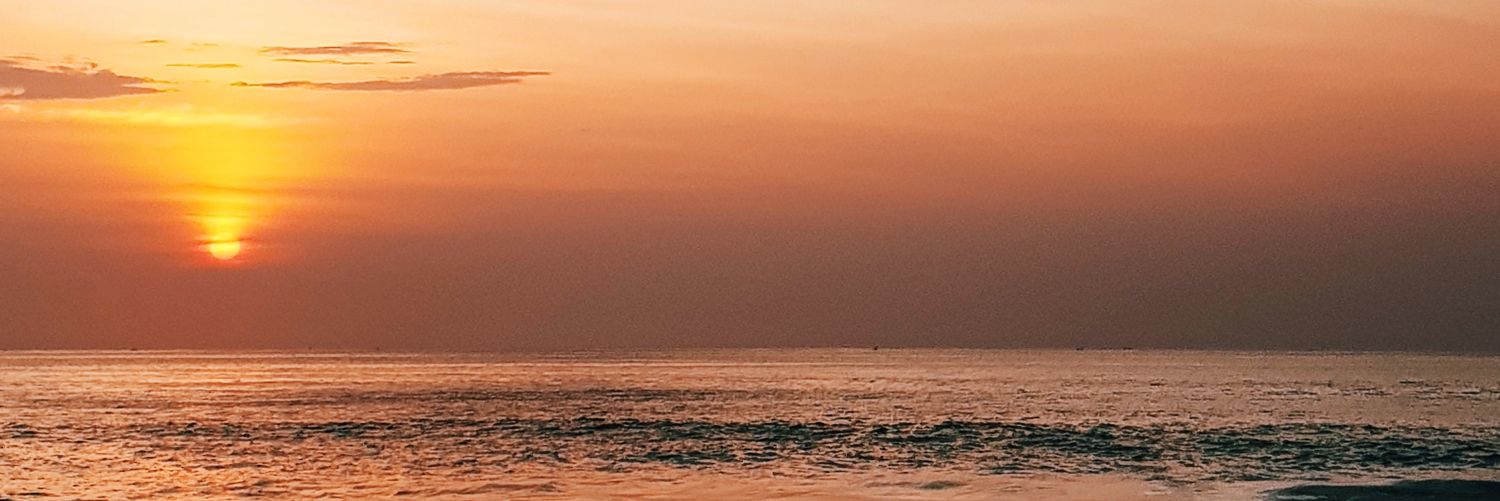 anabellanthnl's profile banner image