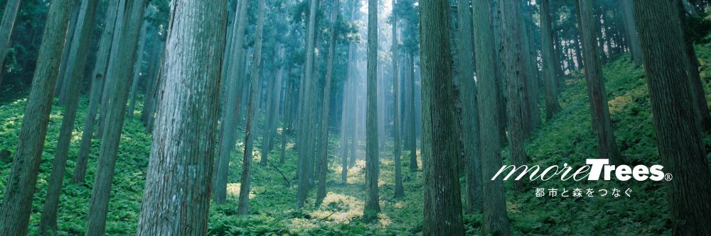 moretrees_JP's profile banner image