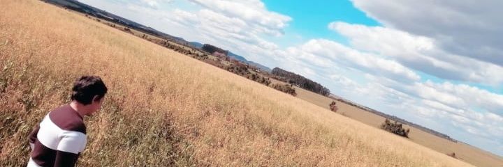 ManuInsa_'s profile banner image