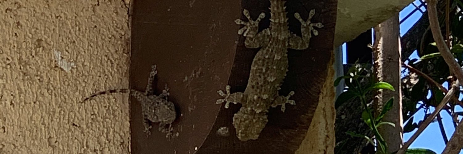 Chris B-M 🧜🏻‍♂️ banner